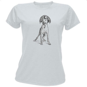 Camiseta Baby Look Caramelo cangaceiro