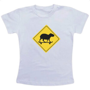 Camiseta Infanto Juvenil Placa capivara de skate