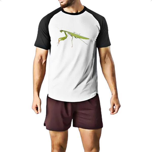 Camiseta Raglan Louva a Deus - Imagem 2