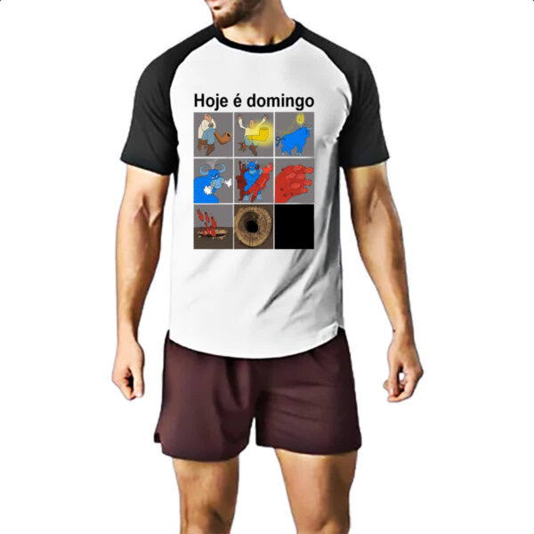 Camiseta Raglan Hoje e domingo pe de cachimbo - Imagem 2