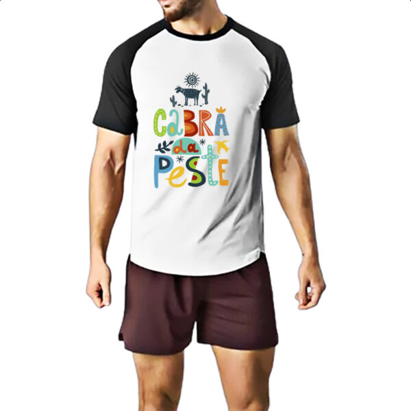 Camiseta Raglan Cabra da peste elementos nordestinos - Imagem 2