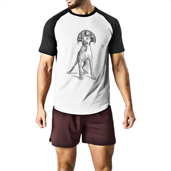 Camiseta Raglan Caramelo cangaceiro - Imagem 2