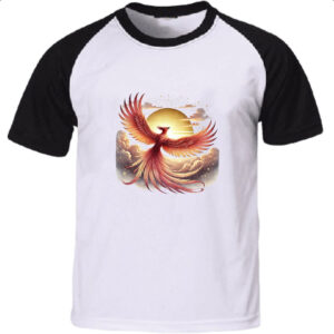 Camiseta Raglan Fenix sunset