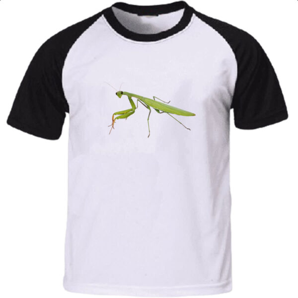 Camiseta Raglan Louva a Deus