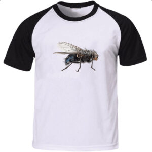 Camiseta Raglan Mosca