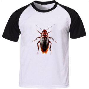 Camiseta Raglan Barata vista de cima