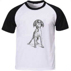 Camiseta Raglan Caramelo cangaceiro