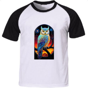 Camiseta Raglan Coruja mistica de cristal