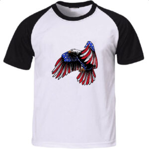 Camiseta Raglan Aguia penas bandeira EUA