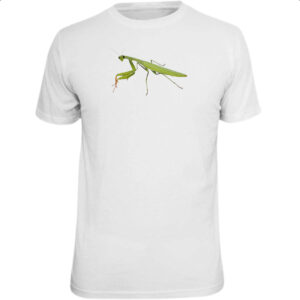 Camiseta Unissex Louva a Deus