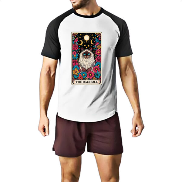 Camiseta Raglan Taro gato Ragdoll - Imagem 2