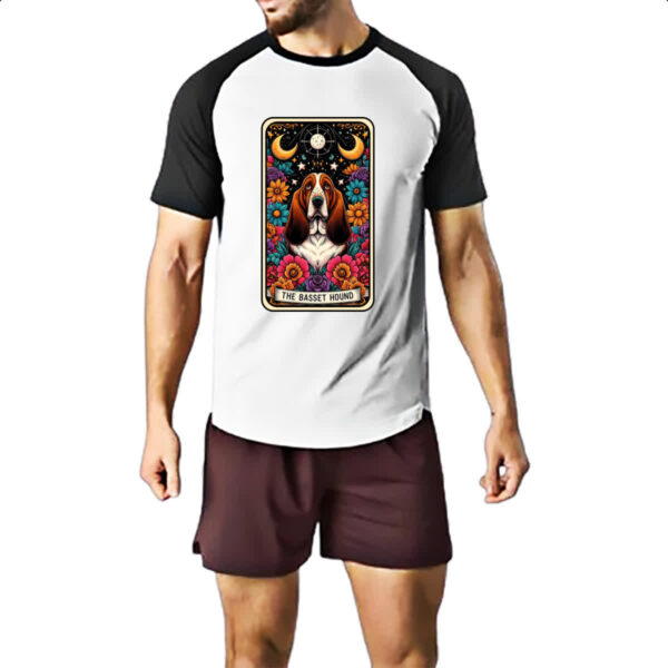 Camiseta Raglan Taro Cachorro Basset Hound - Imagem 2