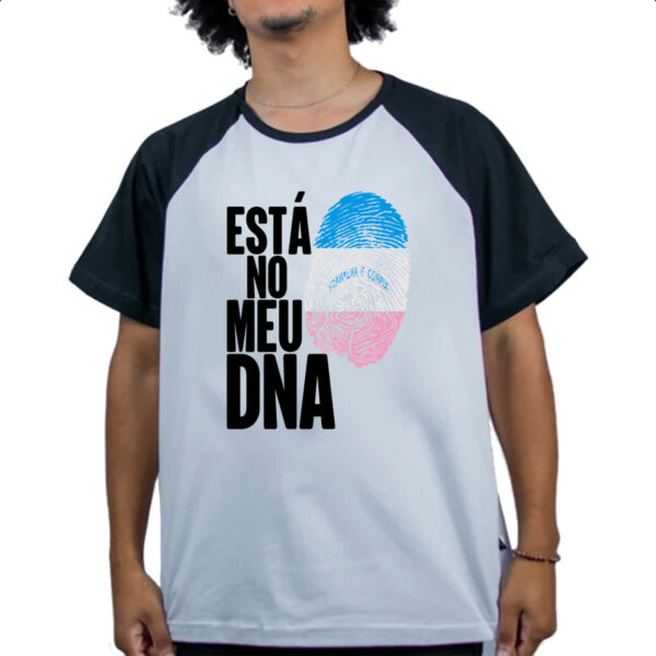 Camiseta Raglan Esta no meu DNA Espirito Santo - Imagem 4