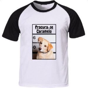 Camiseta Raglan Procura-se um caramelo