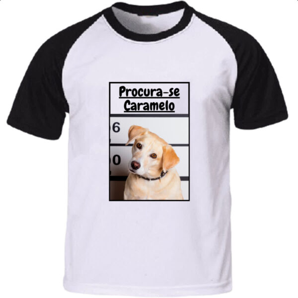 Camiseta Raglan Procura-se um caramelo