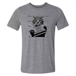 Camiseta Cinza Surtei atirei pau dona chica