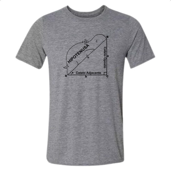 Camiseta Cinza Meme hipotenusa divertida