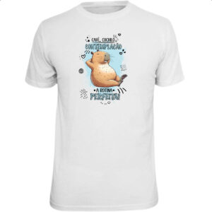 Camiseta Unissex Capirava rotina perfeita