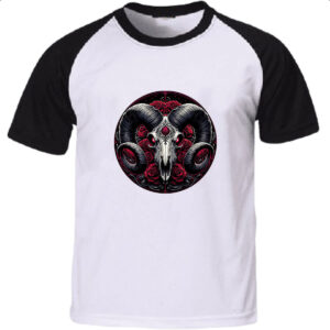 Camiseta Raglan Signo Gotico de Aries