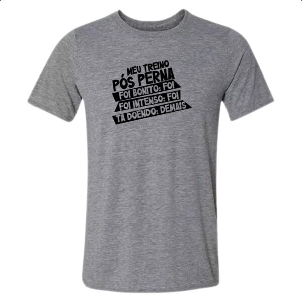 Camiseta Cinza Meu treino pos perna doi demais