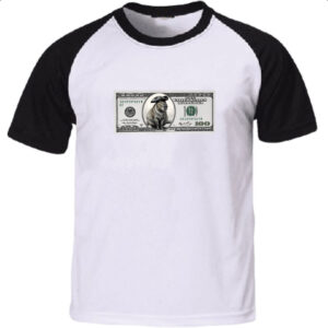 Camiseta Raglan Capivara 100 Dolares