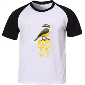 Camiseta Raglan Nem te vi