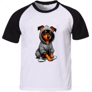 Camiseta Raglan Pincher Street